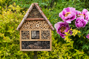 5 Vorteile von einem Insektenhotel in deinem Garten